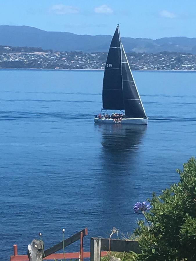 Beach Buoy Opossum Bay South Arm Luaran gambar